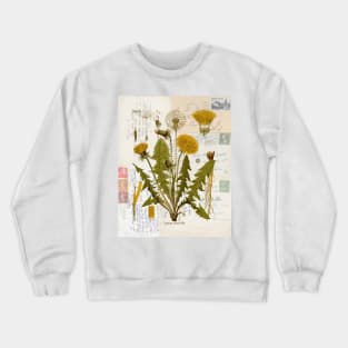 Dandelion Botanical on Antique Postcards Crewneck Sweatshirt